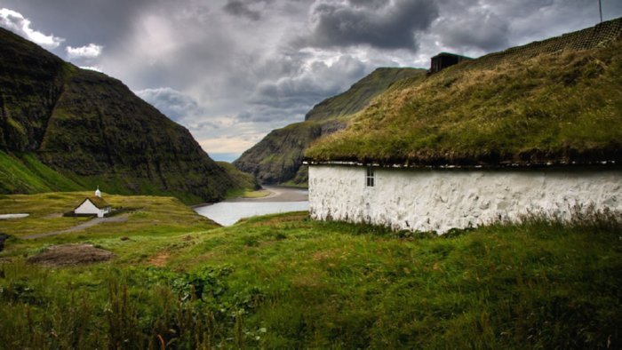 green roofed house